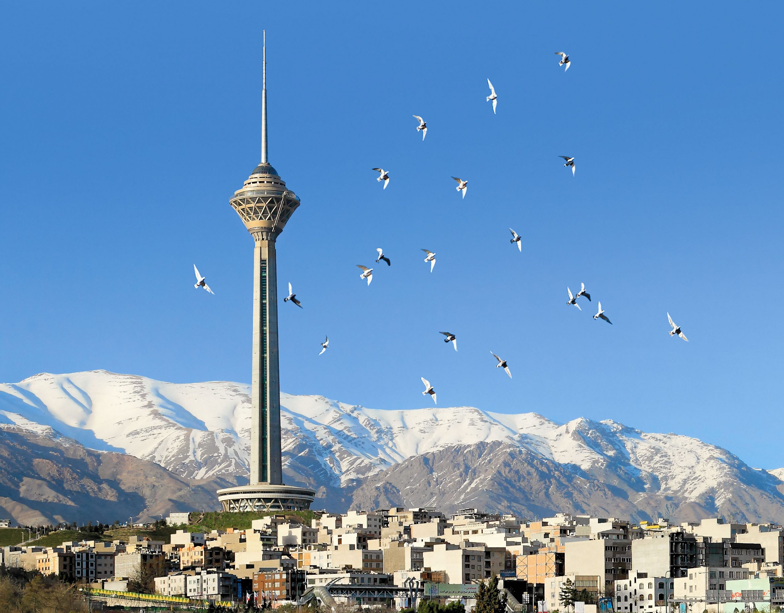 شرکت تمکین فولاد آسانبر